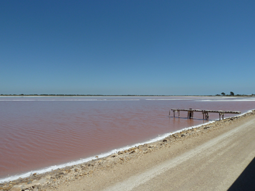 Le Saunier de Camargue